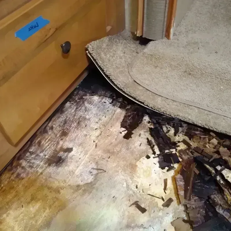 Best Wood Floor Water Damage Service in Charlotte, TX